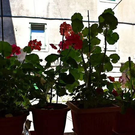 Апартаменты Cozy Hidden Gem In The Old Town *